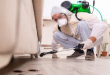 The Ultimate Guide to Mosquito-Proofing Your Home in Elmhurst, IL: Tips and Tricks Pest Control