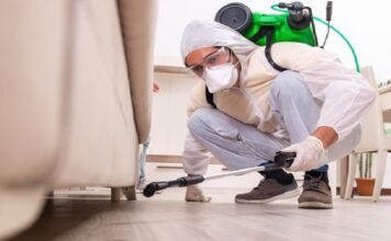 The Ultimate Guide to Mosquito-Proofing Your Home in Elmhurst, IL: Tips and Tricks Pest Control