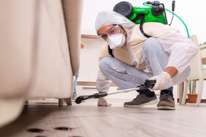 Pest Control Pest Control
